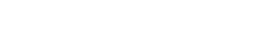 Découvrez nos 5 collections